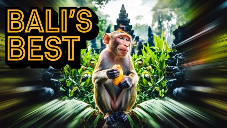 The TRAVELER'S Guide to Planning an EPIC Bali Trip