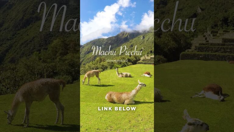 #machupicchu #machupicchuperu #machupicchutravel  #peru #perú #perutravel #travelperu #travellife