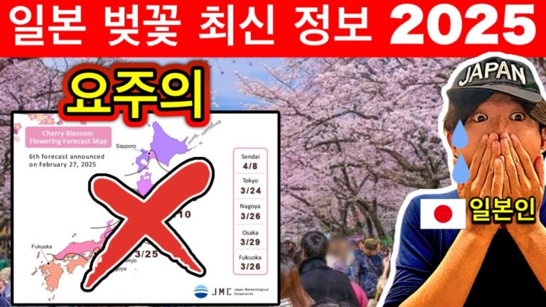 모르면 후회! 🇯🇵 2025년 일본 벚꽃놀이 필수 정보 🌸 숨은 명소 & 꿀팁 포함