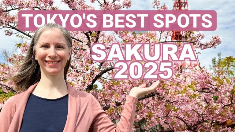 Best Tokyo Cherry Blossom Spots for Picnics & Walks, Japan Travel Guide