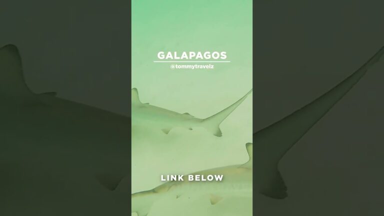 #TommyTravelz #travelnow #traveltips #galapagos #sancristobal #santacruz #islabaltra #isabelaisland