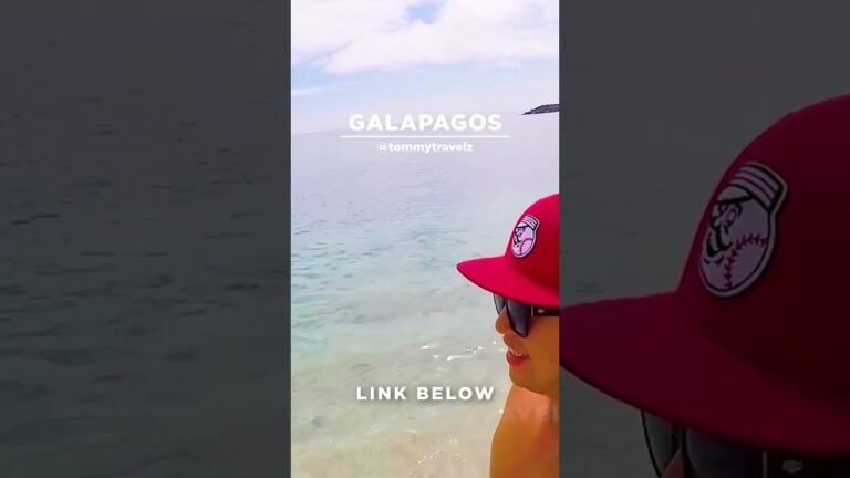 #TommyTravelz #travelnow #traveltips #galapagos #sancristobal #santacruz #islabaltra #isabelaisland