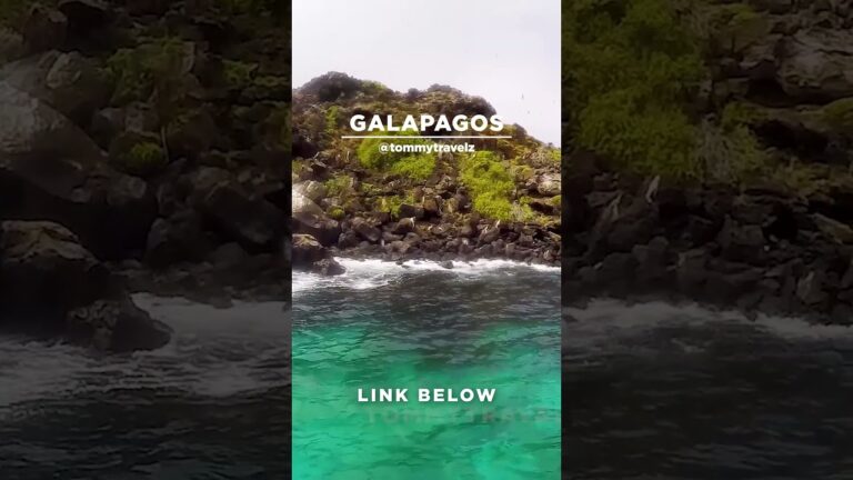 #TommyTravelz #travelnow #traveltips #galapagos #sancristobal #santacruz #islabaltra #isabelaisland
