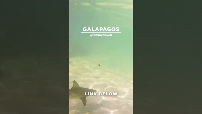 #TommyTravelz #travelnow #traveltips #galapagos #sancristobal #santacruz #islabaltra #isabelaisland