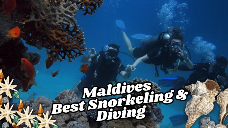 The Best Snorkeling & Diving Spots in the Maldives! – Travel Video