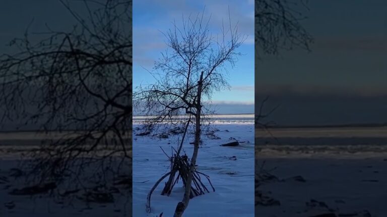 TOP 5 Anchorage Alaska Places To Best Visit