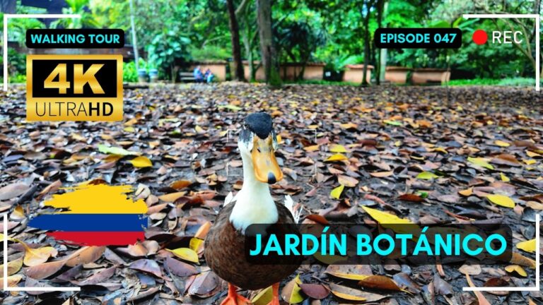 Medellín Walking Tour Comuna 4 🇨🇴 Jardín Botánico, Flora & Fauna
