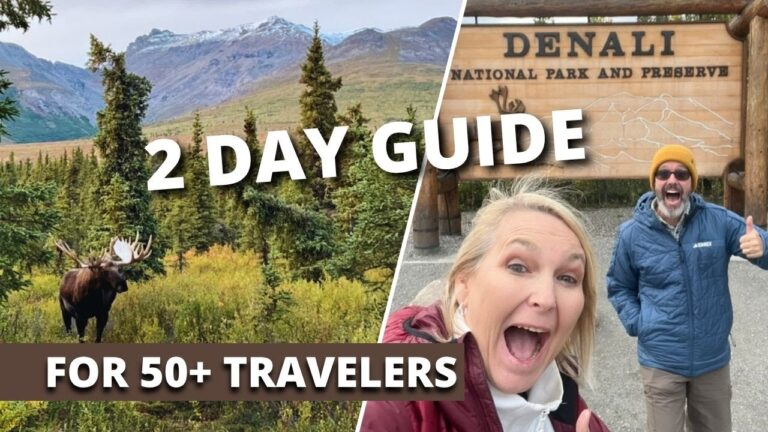 Denali National Park: Moose, Trails & Scenic Bus Ride
