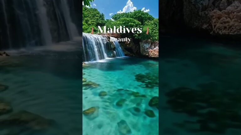 Maldives #travel #luxrylifestyle #maldives #viralvideo