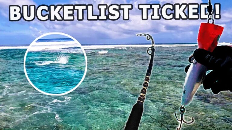 FLY FISHING for GTs with BONEFISH E2'S WAY Charters Aitutaki Cook Islands 4K