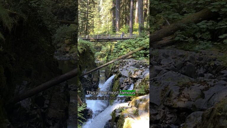Best Thing To Do in Olympic National Park No. 11 #olympicnationalpark #usnationalparks #bucketlist