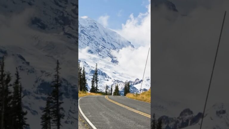 Tip to Visit Mount Rainier National Park No. 2 #mtrainier #mountrainier #usnationalparks traveltips