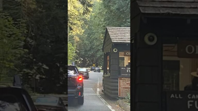 Tip to Visit Mount Rainier National Park No.8 #mtrainier #mountrainier #usnationalparks traveltips