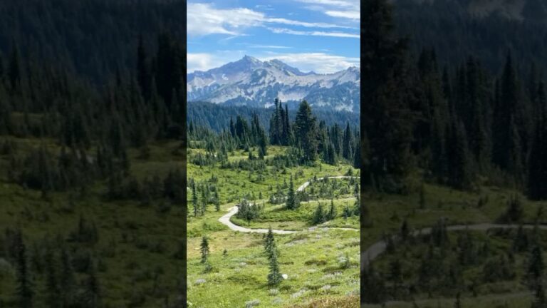 Best Hike in Mount Rainier National Park No. 9 #mtrainier #mountrainier #usnationalparks
