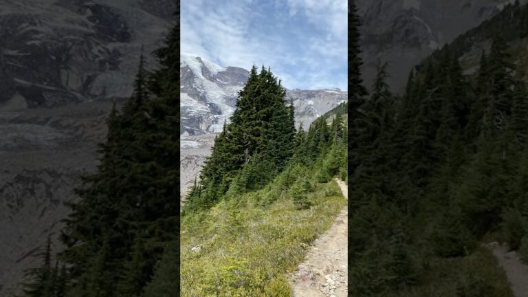 Best Hike in Mount Rainier National Park No. 8 #mtrainier #mountrainier #usnationalparks