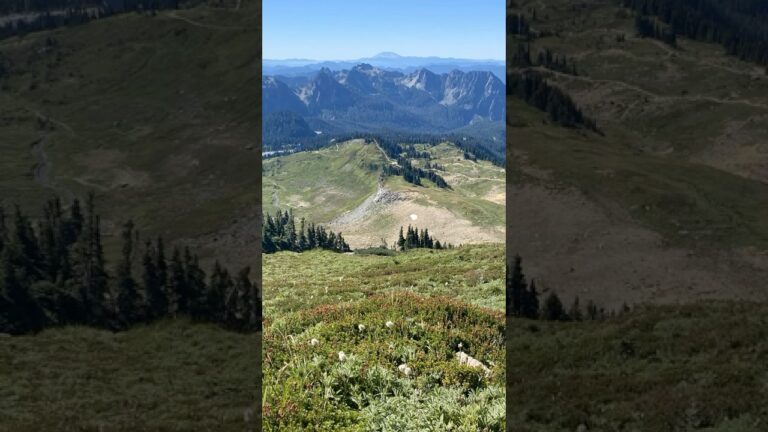 Best Hike in Mount Rainier National Park No. 10 #mtrainier #mountrainier #usnationalparks