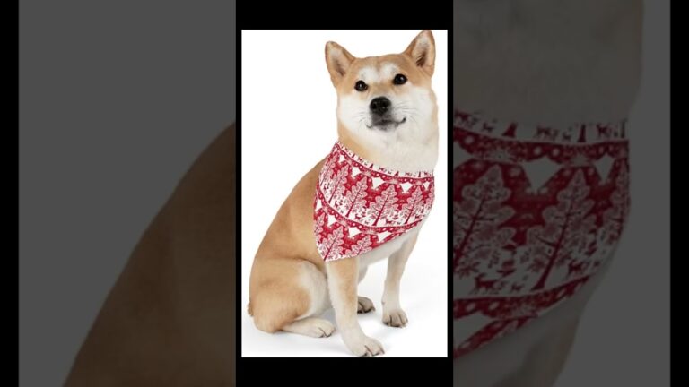 Christmas Sale at timelesstrekker.com