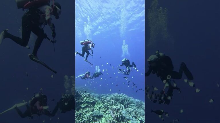 Explore the World with Expadore | Adventure, Luxury & Travel Activities