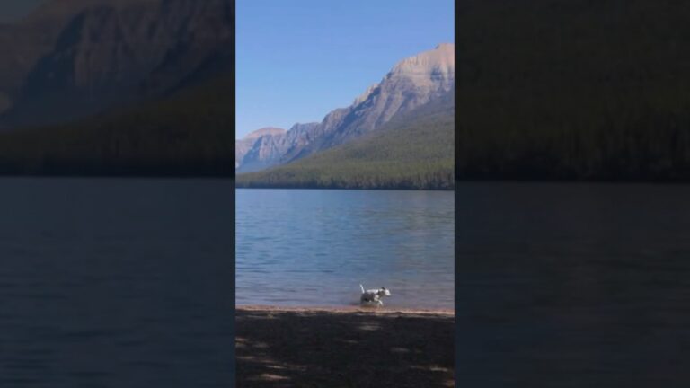 Best Hike in Glacier National Park No. 8 #glacier #glaciernationalpark #hiking #usnationalparks