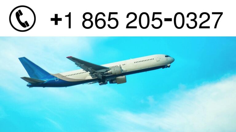 Expedia Customer Service | Complete Contact Guide for Managing Expedia Rewards & Accounts