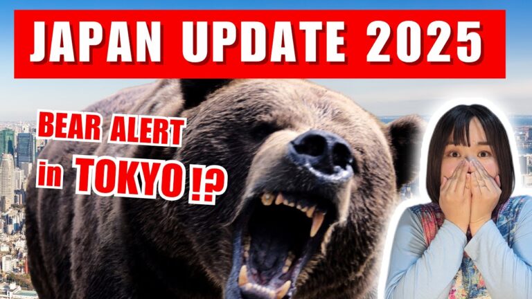Bear Crisis in Japan: What’s Really Happening & Is It Safe to Visit TOKYO 2025?