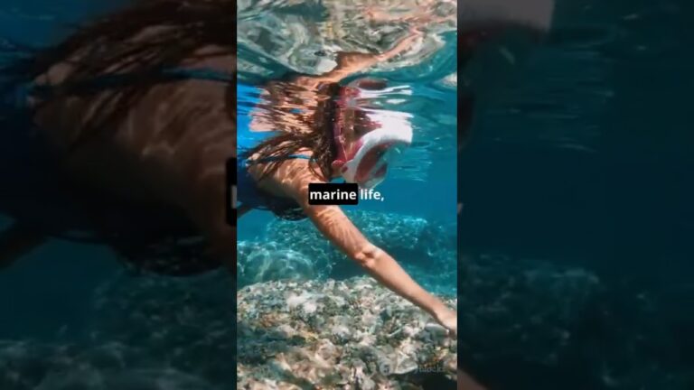 Best Places to Visit in Fiji 🇫🇯 (Travel Guide)