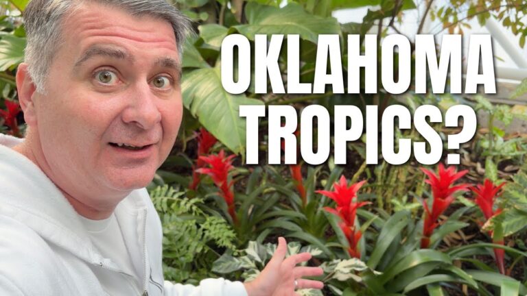 I Found a Tropical Escape in Oklahoma!