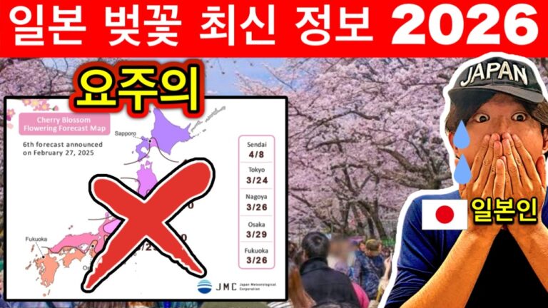 2026 일본 벚꽃 개화 시기 총정리 | 최고의 날짜와 명소 | 여행 꿀팁 포함