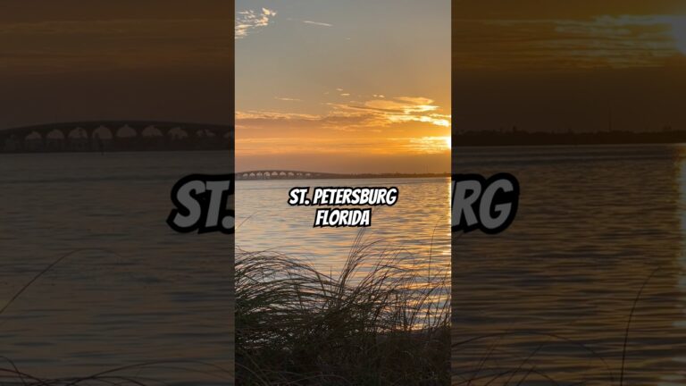 The peaceful sounds #stpetersburgflorida 🥹💙