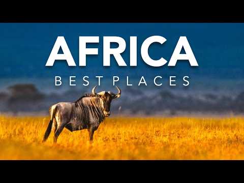 Best Places to Visit Animals Surving in the African Savanna | Travel Guide