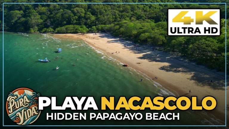 PLAYA NACASCOLO, Costa Rica 🌴 How To Get To This Hidden Papagayo Beach (Drive, Bus & Monkeys)