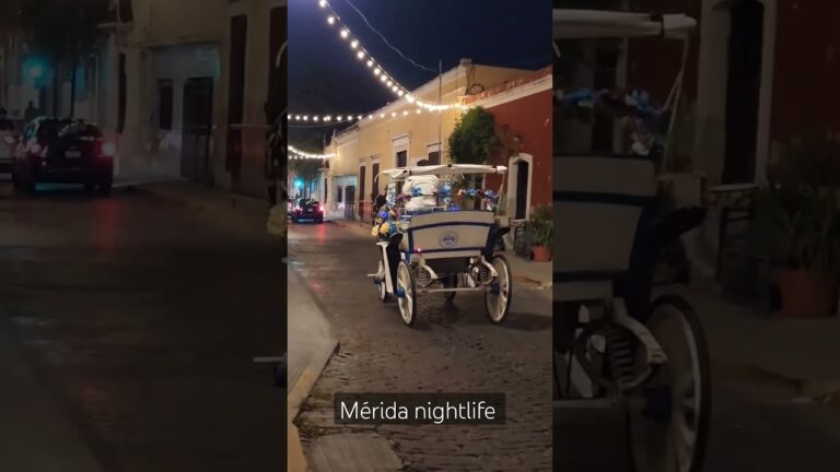 Mérida Nightlife #merida #nochemexicana #nightlife