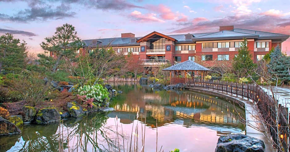 The hotel that was sitting on a 43% revenue increase & didn't know it