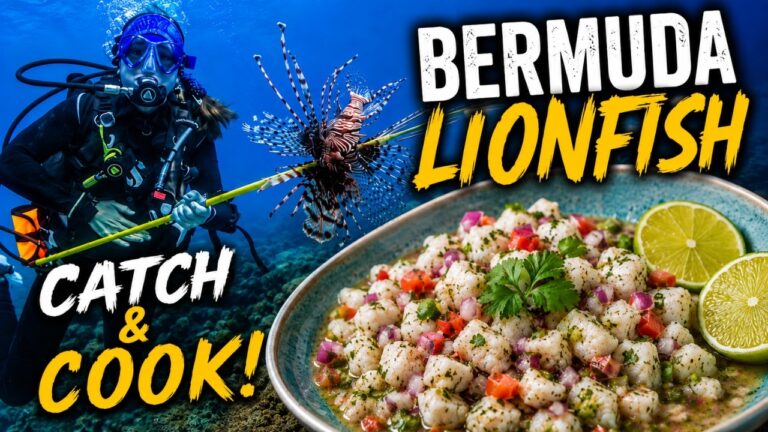 How To Clean & Prepare Lionfish | Bermuda Lionfish Catch & Cook