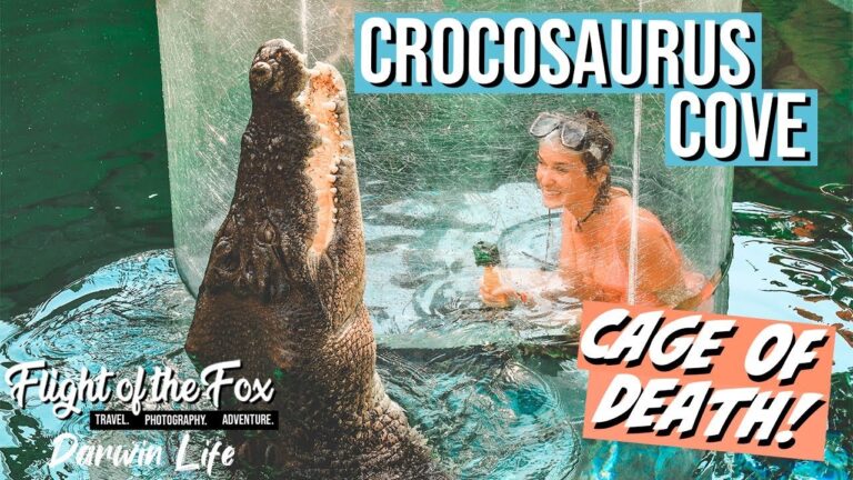 Crocosaurus Cove | CAGE OF DEATH 🐊 Best things to do in Darwin! | Episode 38 – Darwin Life