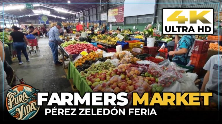 Tour The PÉREZ ZELEDÓN FERIA, Costa Rica 🍍 Fruit Prices At The Biggest Farmers Market