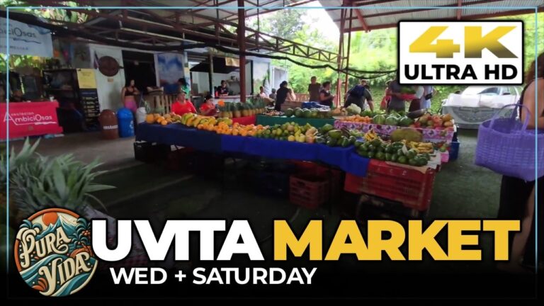 Tour UVITA, Costa Rica 🍌 The Saturday Market: Teak Wood, Masks, Local Food & A Rainy Drone