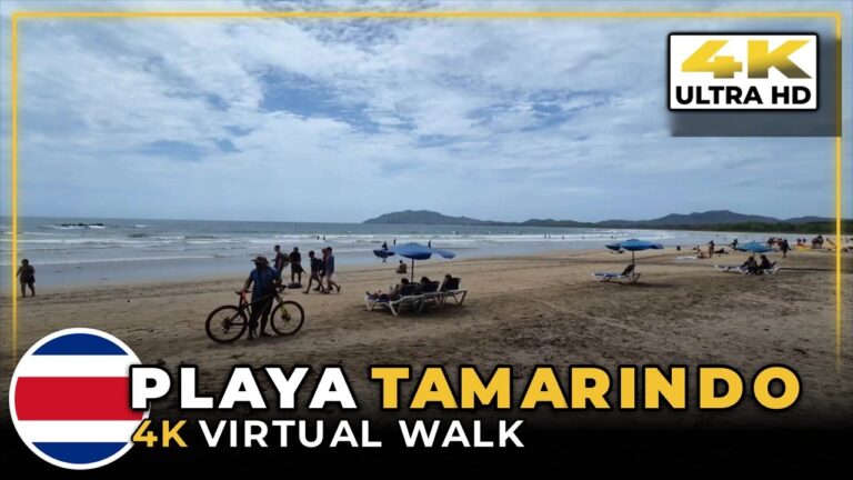 TAMARINDO, Costa Rica 🌴 Main Strip Shops, Horses & The Rocky Beach | 4K Treadmill Walk